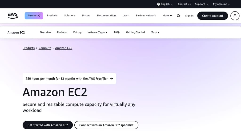 Screenshot of Amazon EC2 website