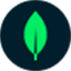 A favicon of MongoDB