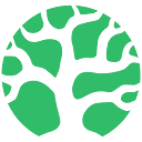 A favicon of Bonsai