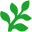 A favicon of Fern