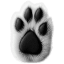 A favicon of Probo